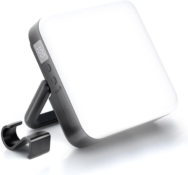 Portable Camping Light & Power Bank