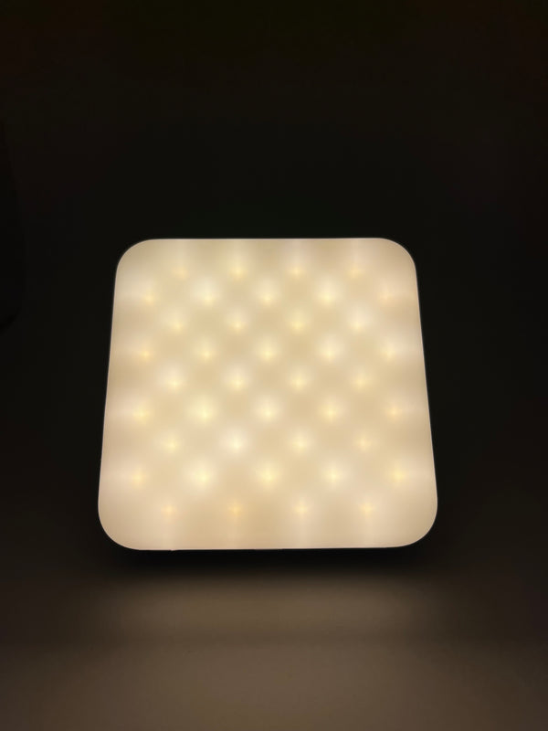 Portable Camping Light & Power Bank