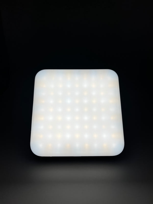 Portable Camping Light & Power Bank