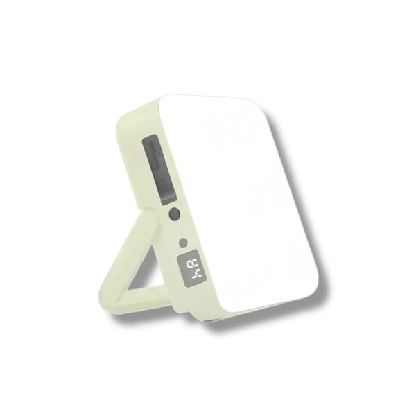 Portable Camping Light & Power Bank