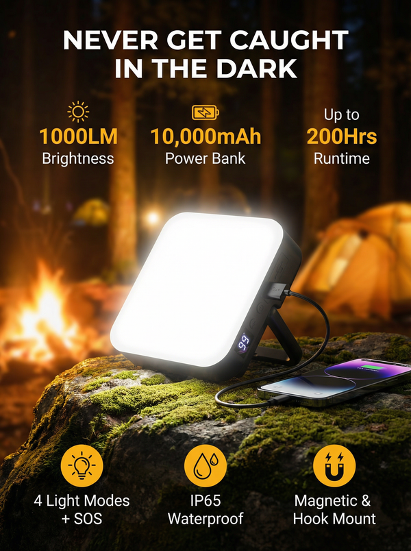Portable Camping Light & Power Bank